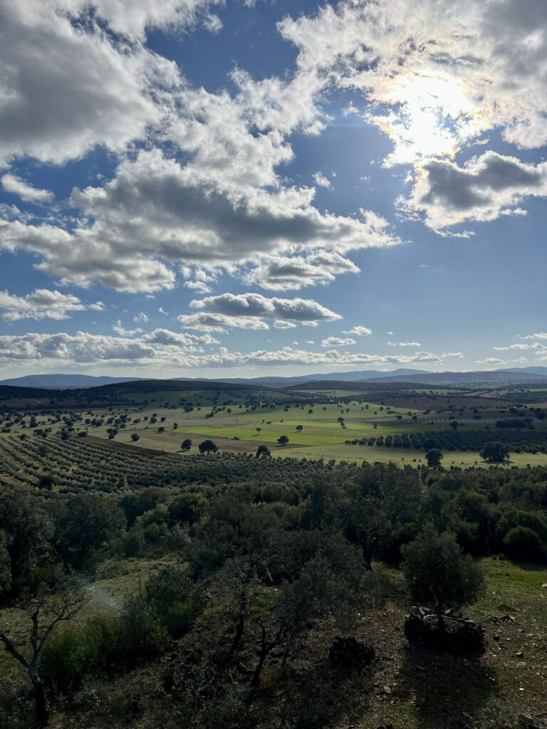 Casa Rural La Morera - Vistas